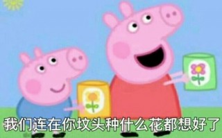 小猪恶搞视频全集，小猪恶搞视频全集在线观看