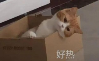 出门类文案沙雕，出门类文案沙雕搞笑