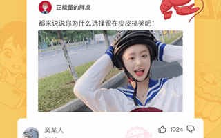 皮皮日记恶搞视频，皮皮日记软件