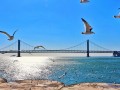 大连十一游玩攻略，大连十一旅游攻略