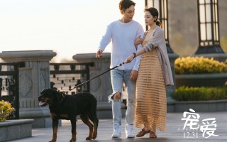 宠爱恶搞视频，宠爱恶搞视频大全