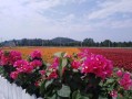 牧城公园游玩攻略，牧城公园游玩攻略一日游